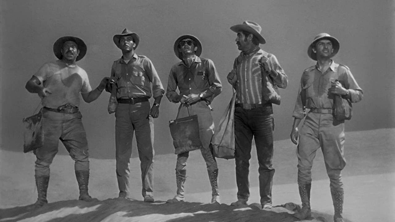 Viento negro Background