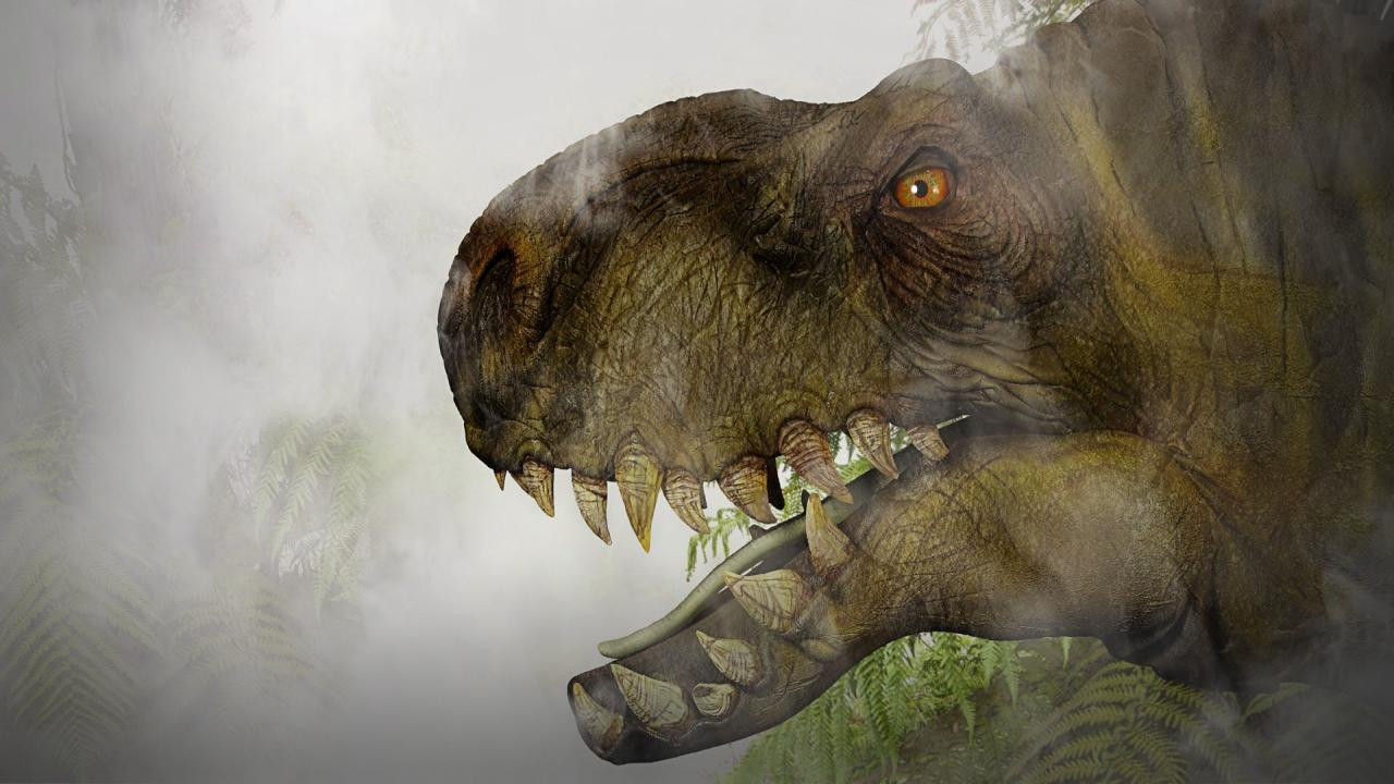 Jurassic C.S.I. Background