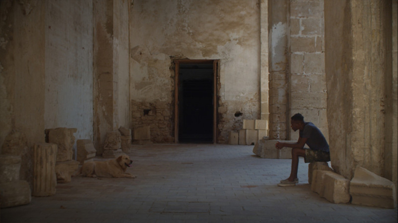 Palermo Sole Nero Background