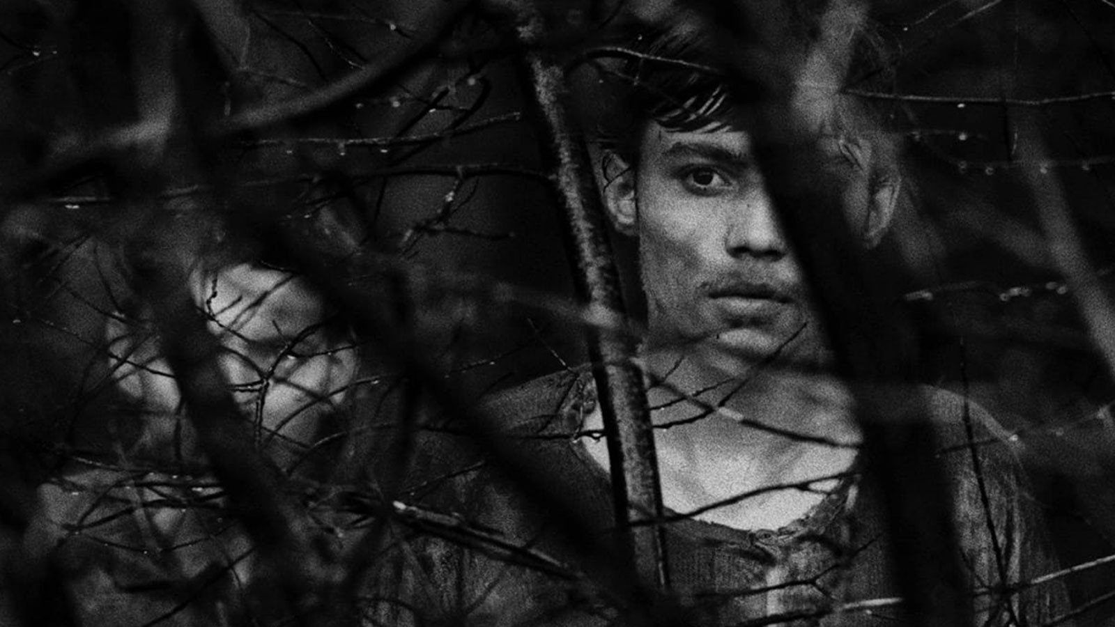 Diamonds of the Night Background