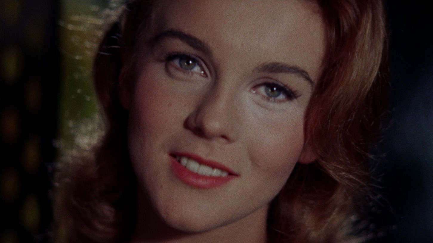 Bye Bye Birdie Background