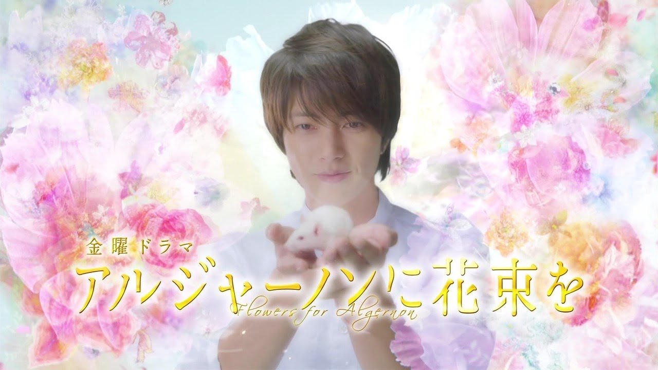 Flowers for Algernon Background