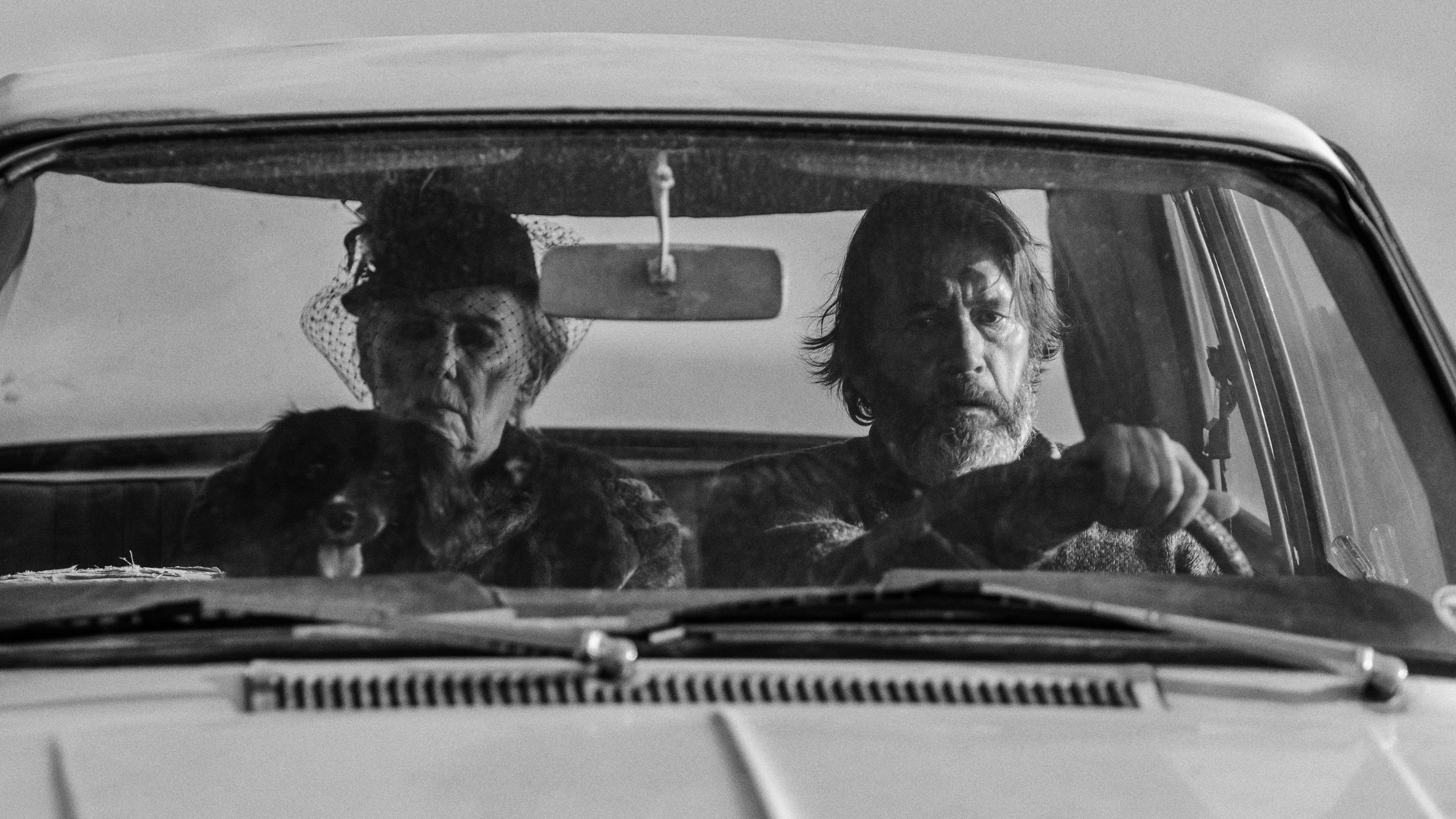 Driving Mum Background