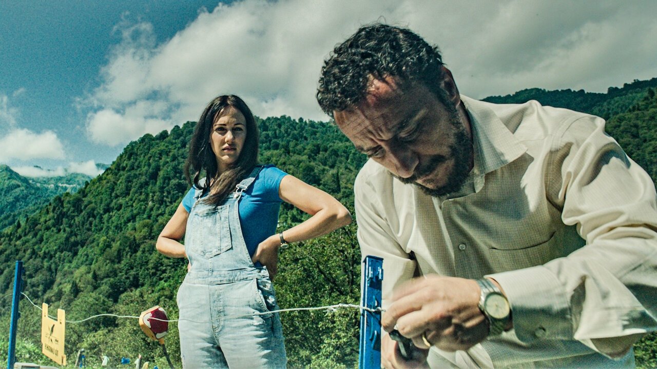 Keeping the Bees Background