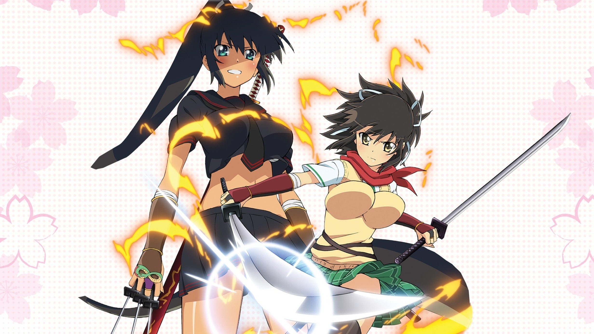 Senran Kagura: Ninja Flash Background