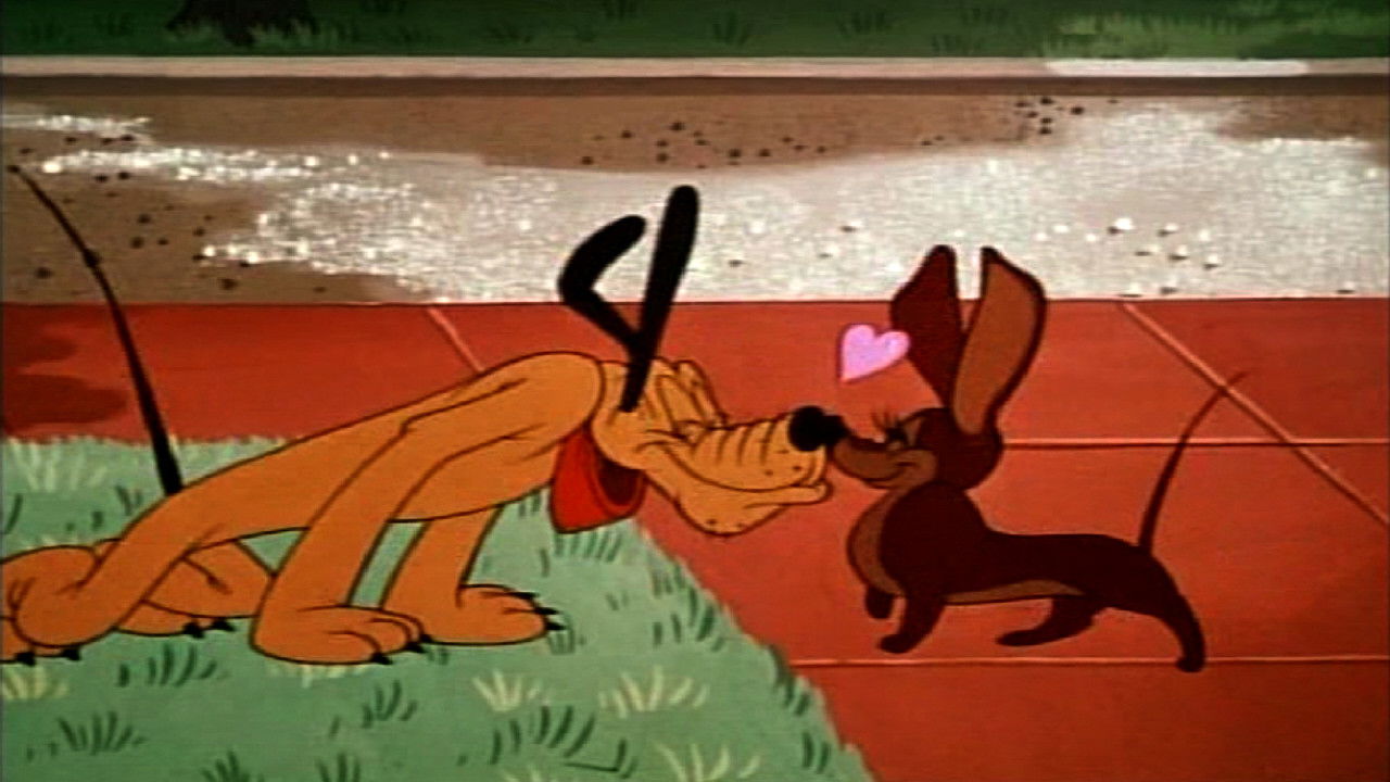 Schmetterlinge im Bauch - Eine Sammlung der schönsten Liebesgeschichten Background