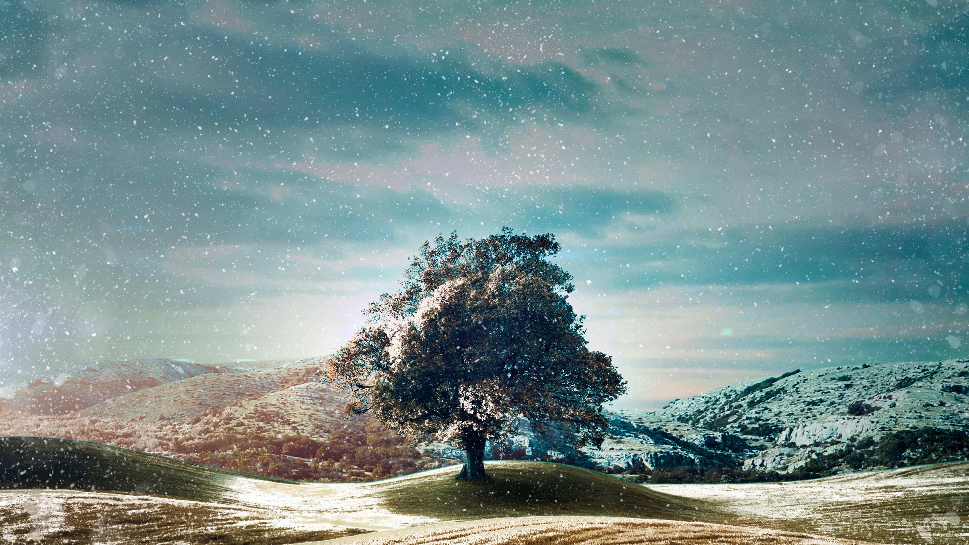 Who Do You Think You Are? Background