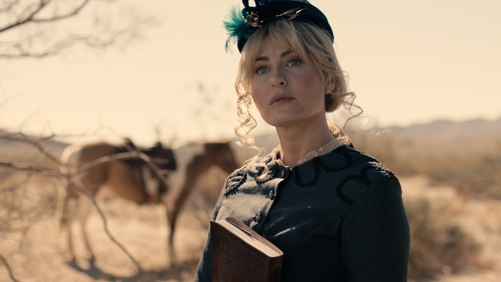 Apache Junction Background