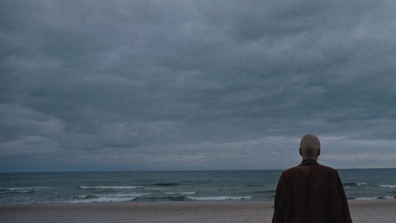 First Last Summer Background