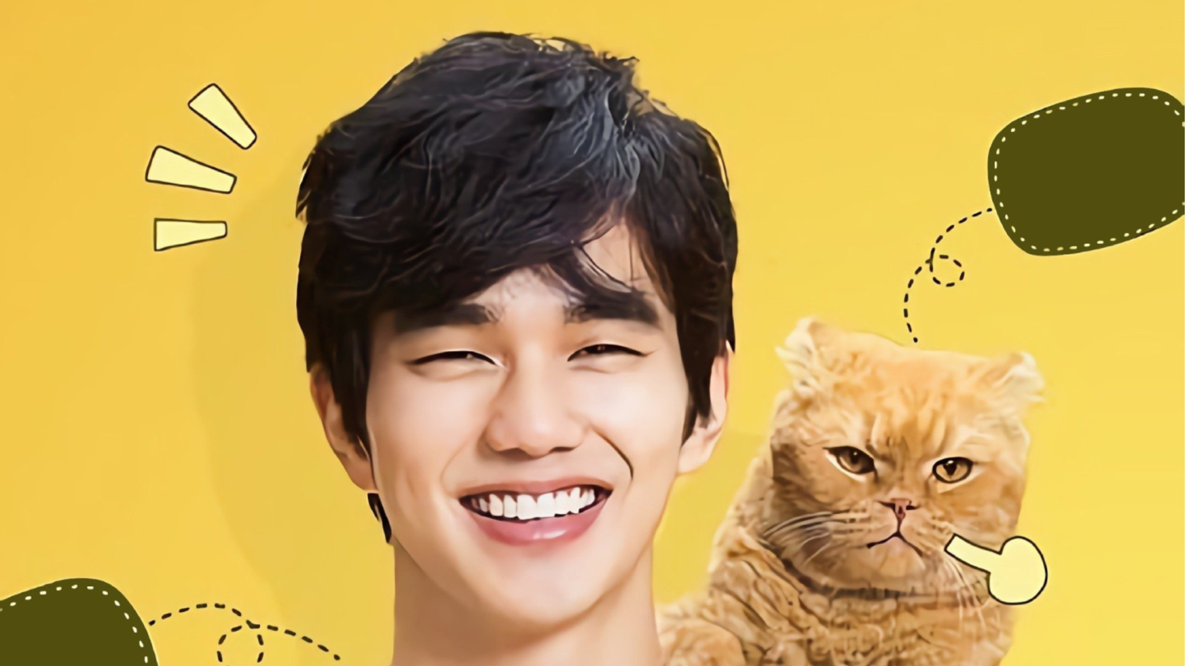 Imaginary Cat Background