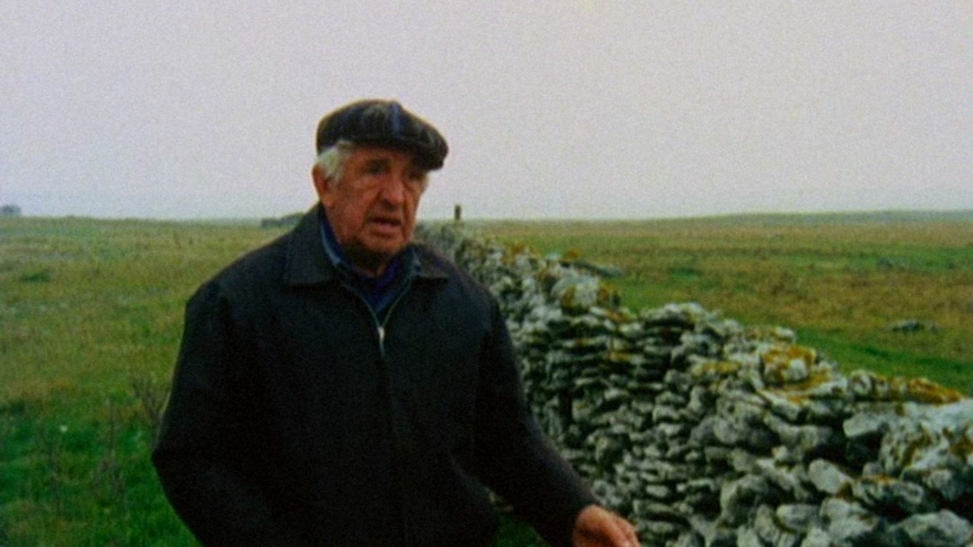 Fårö Document 1979 Background