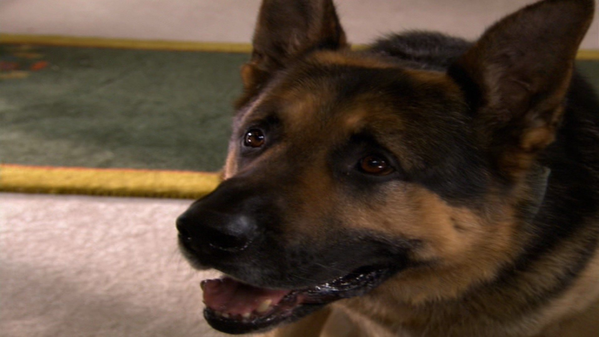 Ace of Hearts Background