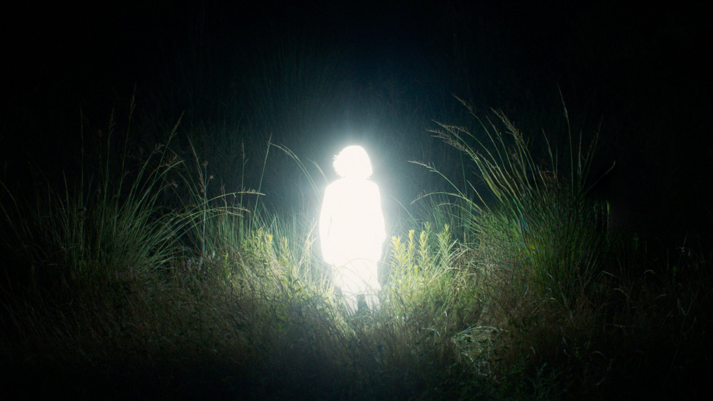 Crónicas de una santa errante Background