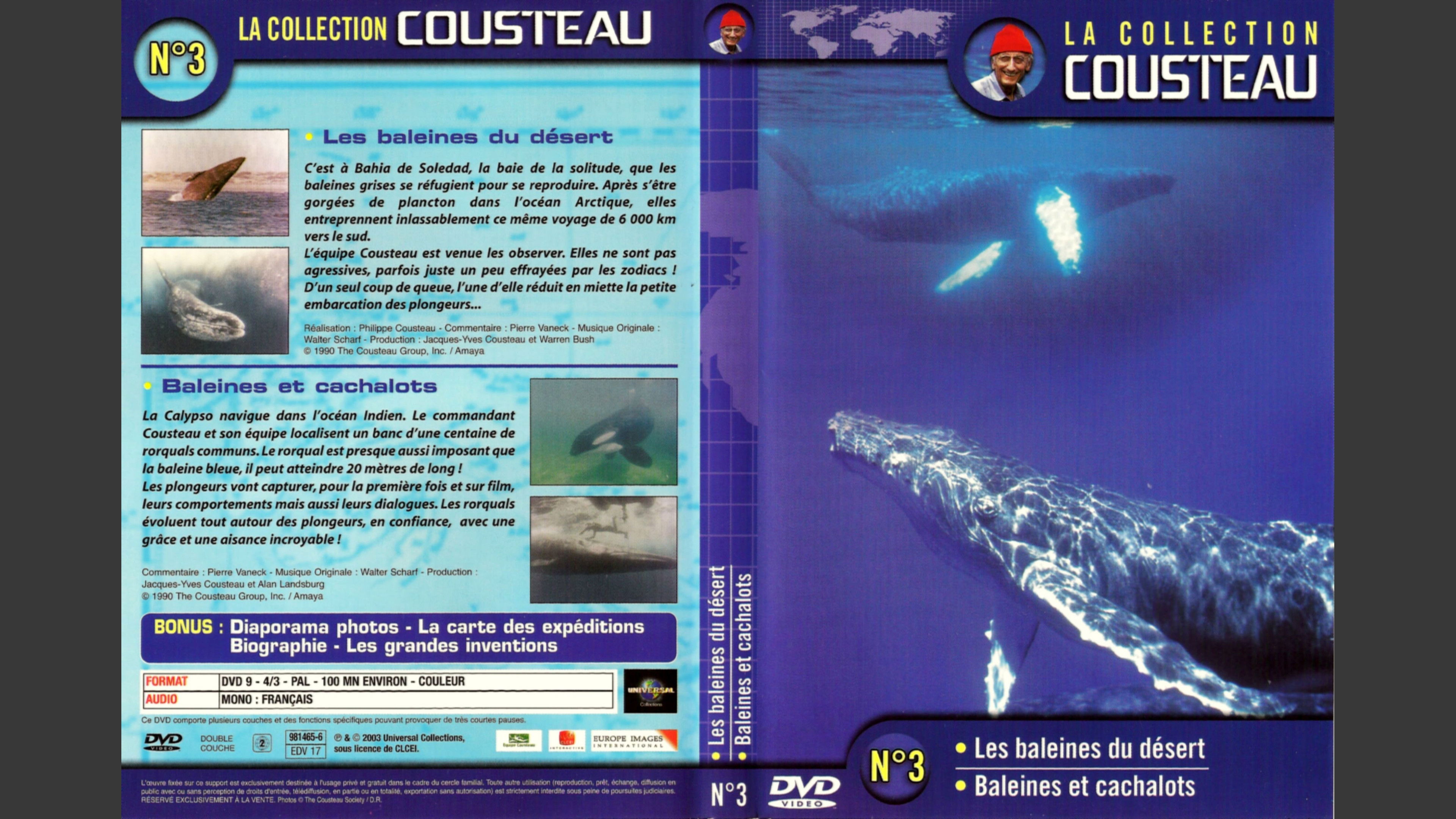 The Cousteau Collection N°3-1 | Desert Whales Background
