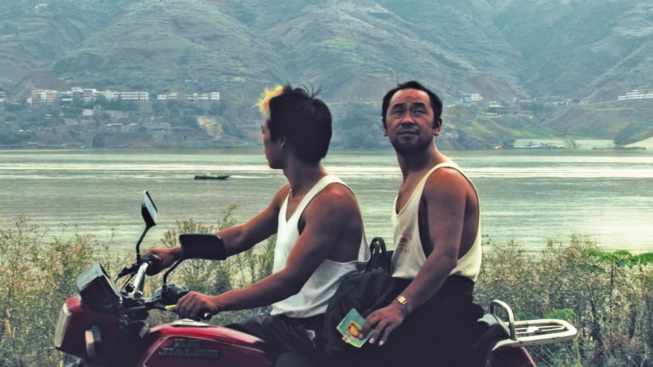 Still Life Background