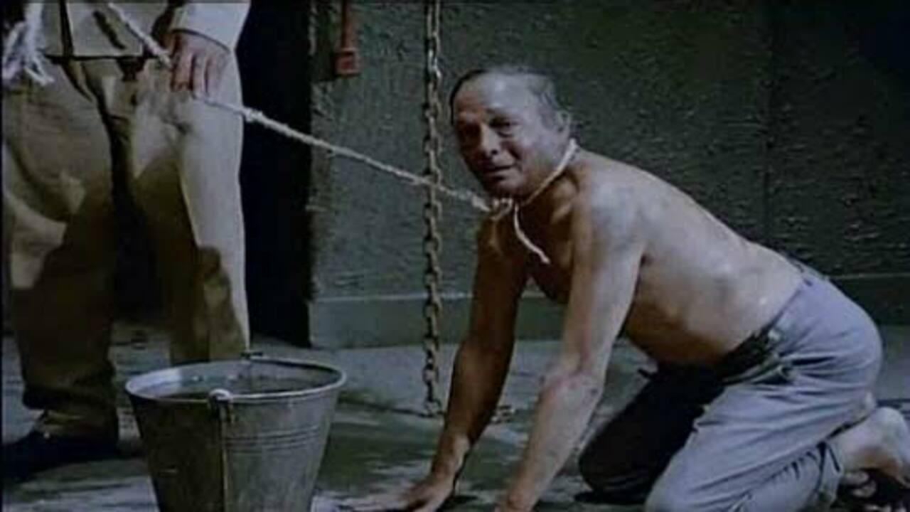 We Are the Bus People Background