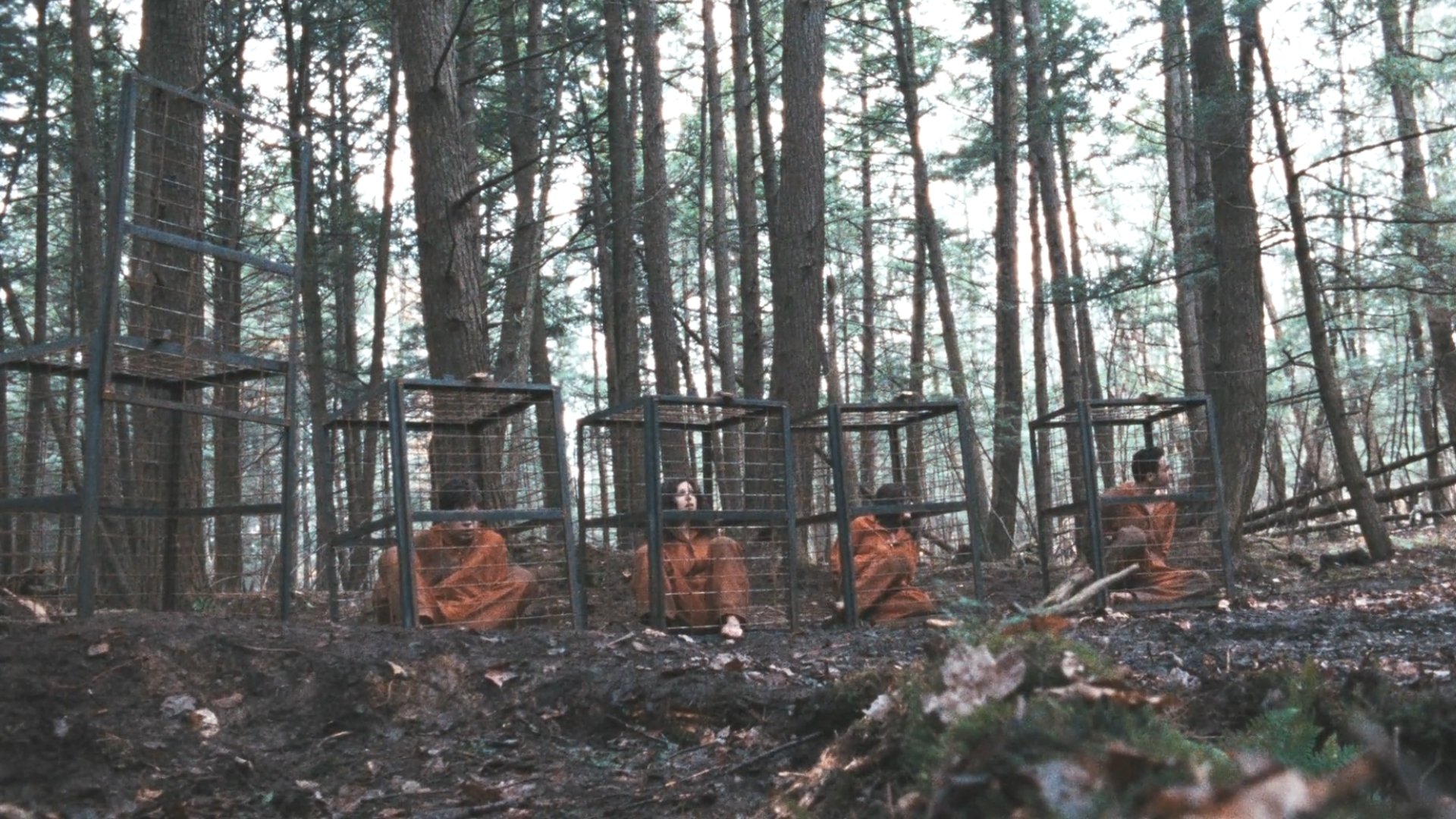 Territories Background