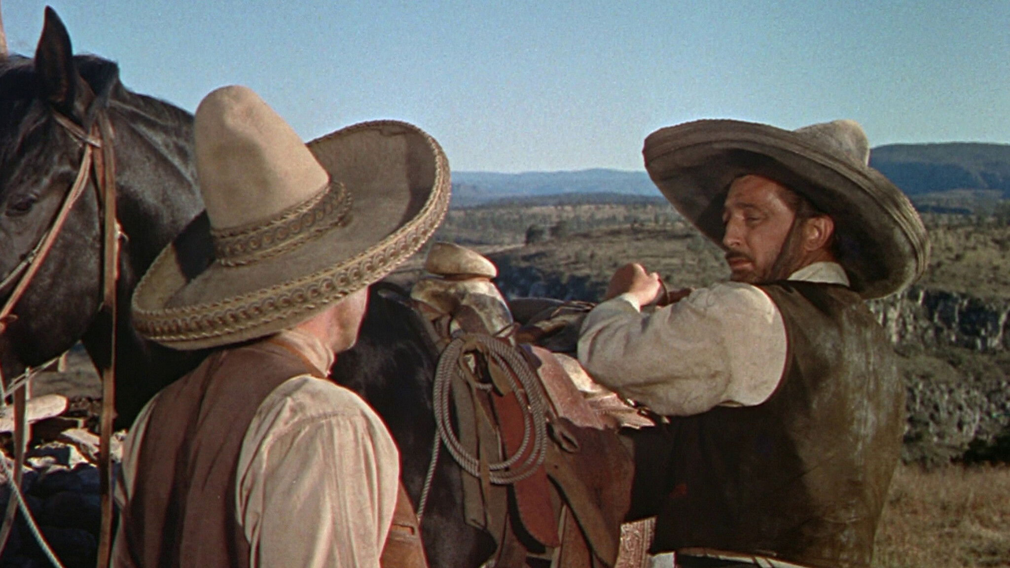 The Wonderful Country Background