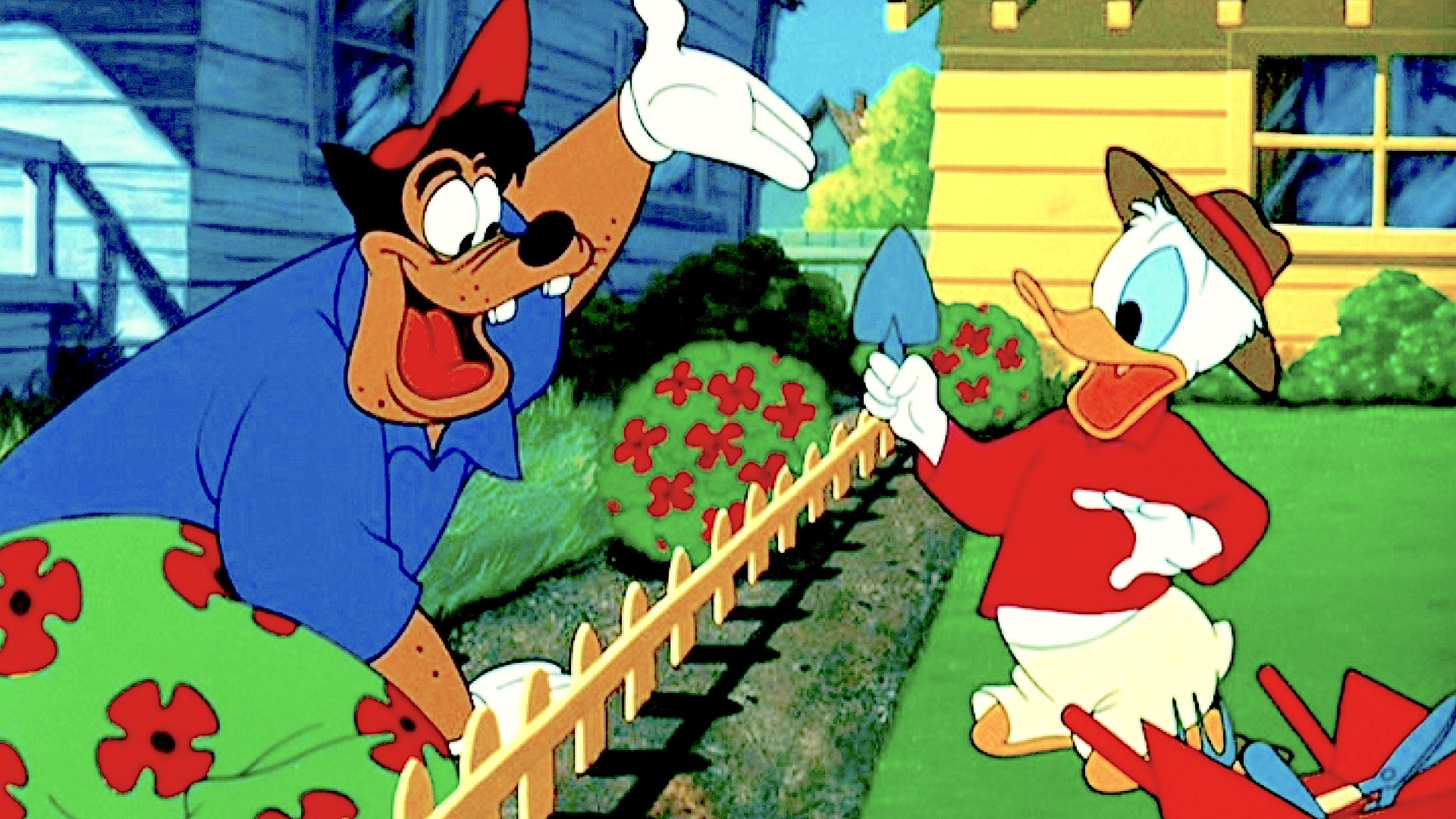 The New Neighbor Background