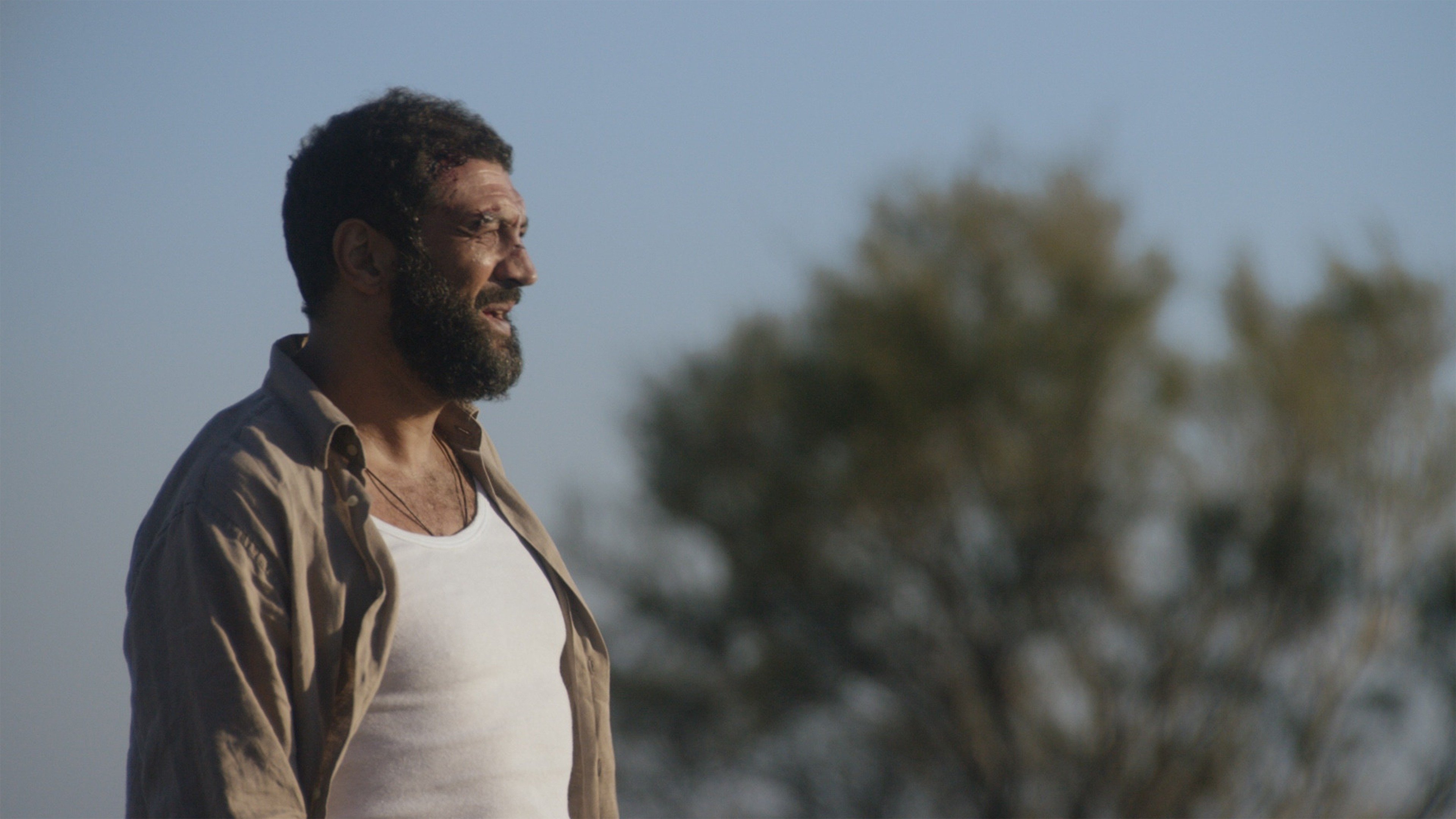 South Terminal Background