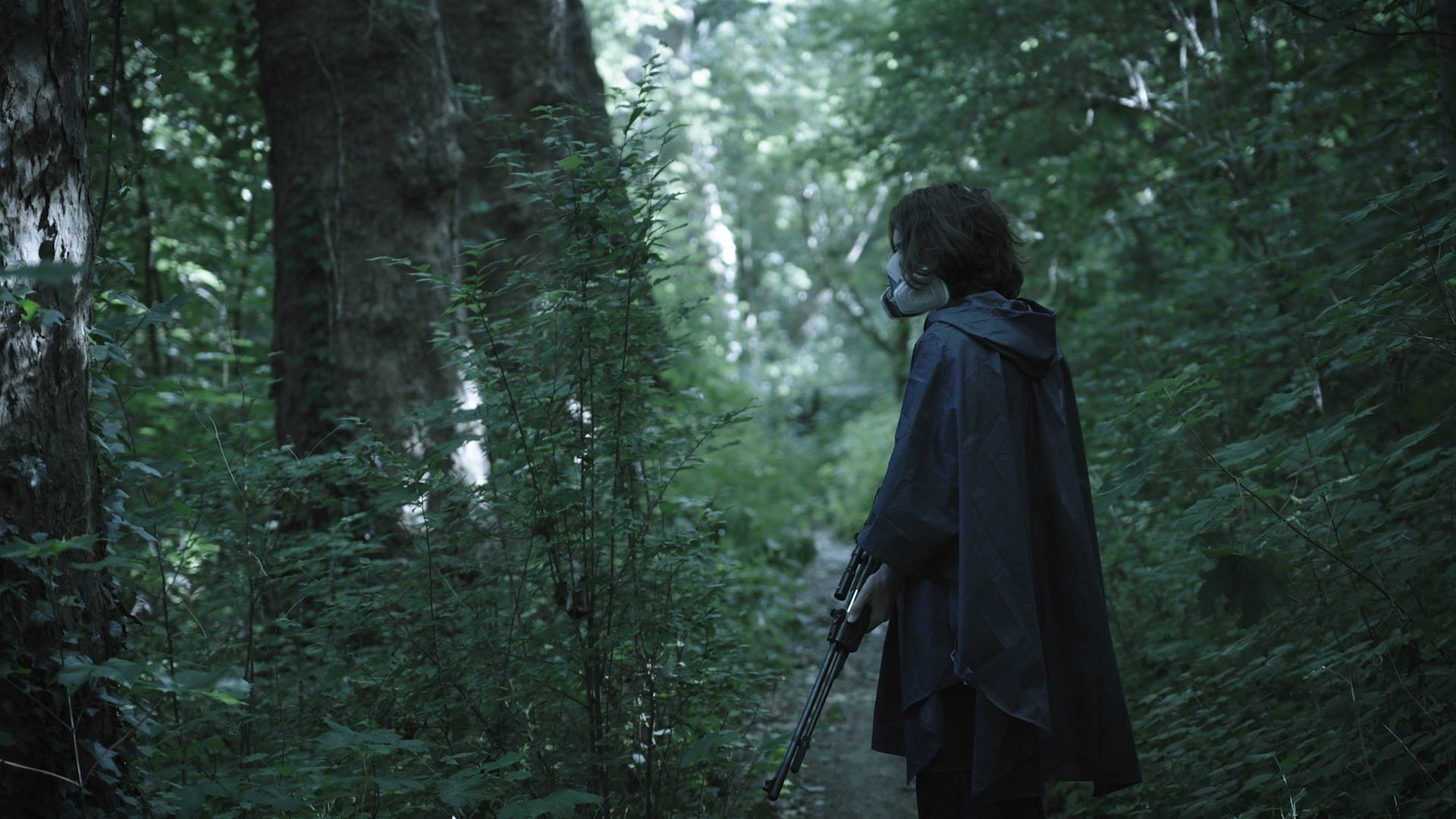 Don't Look Back Background