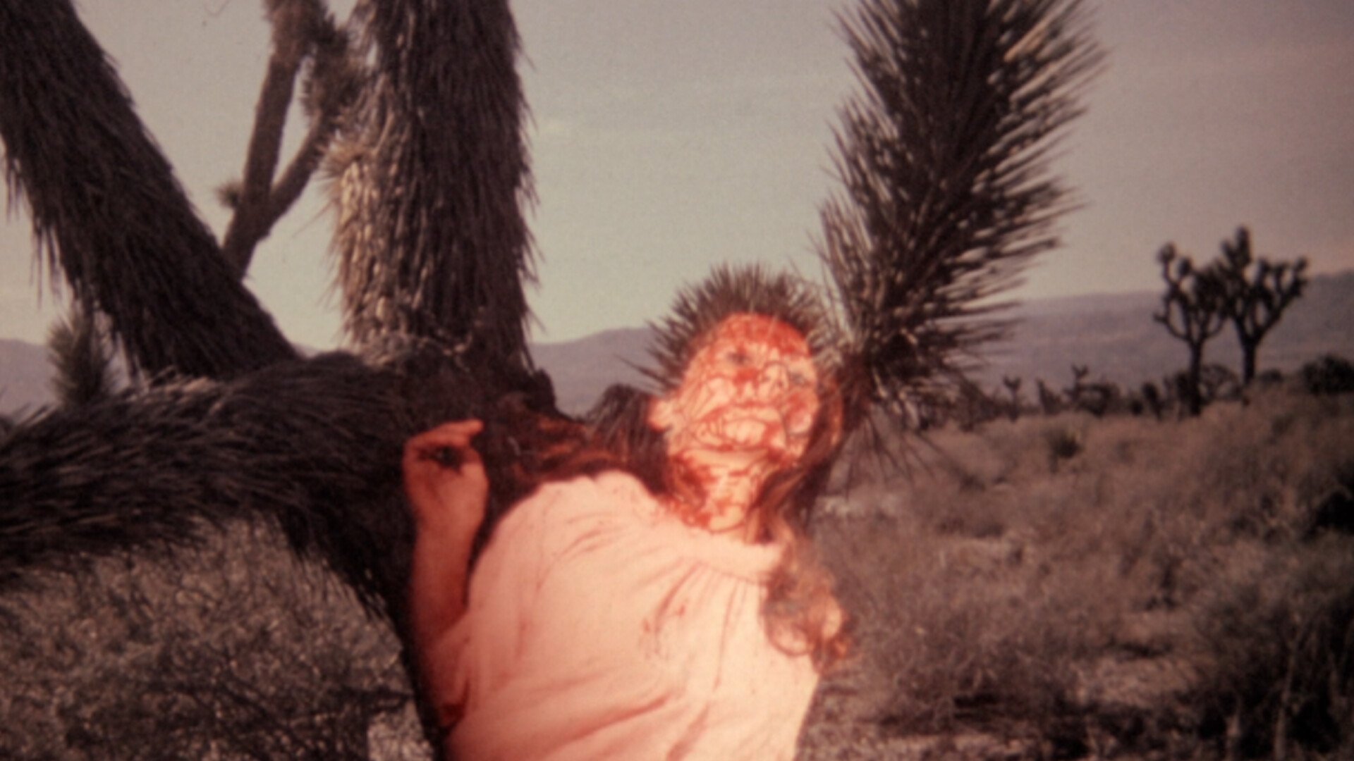 Meatcleaver Massacre Background