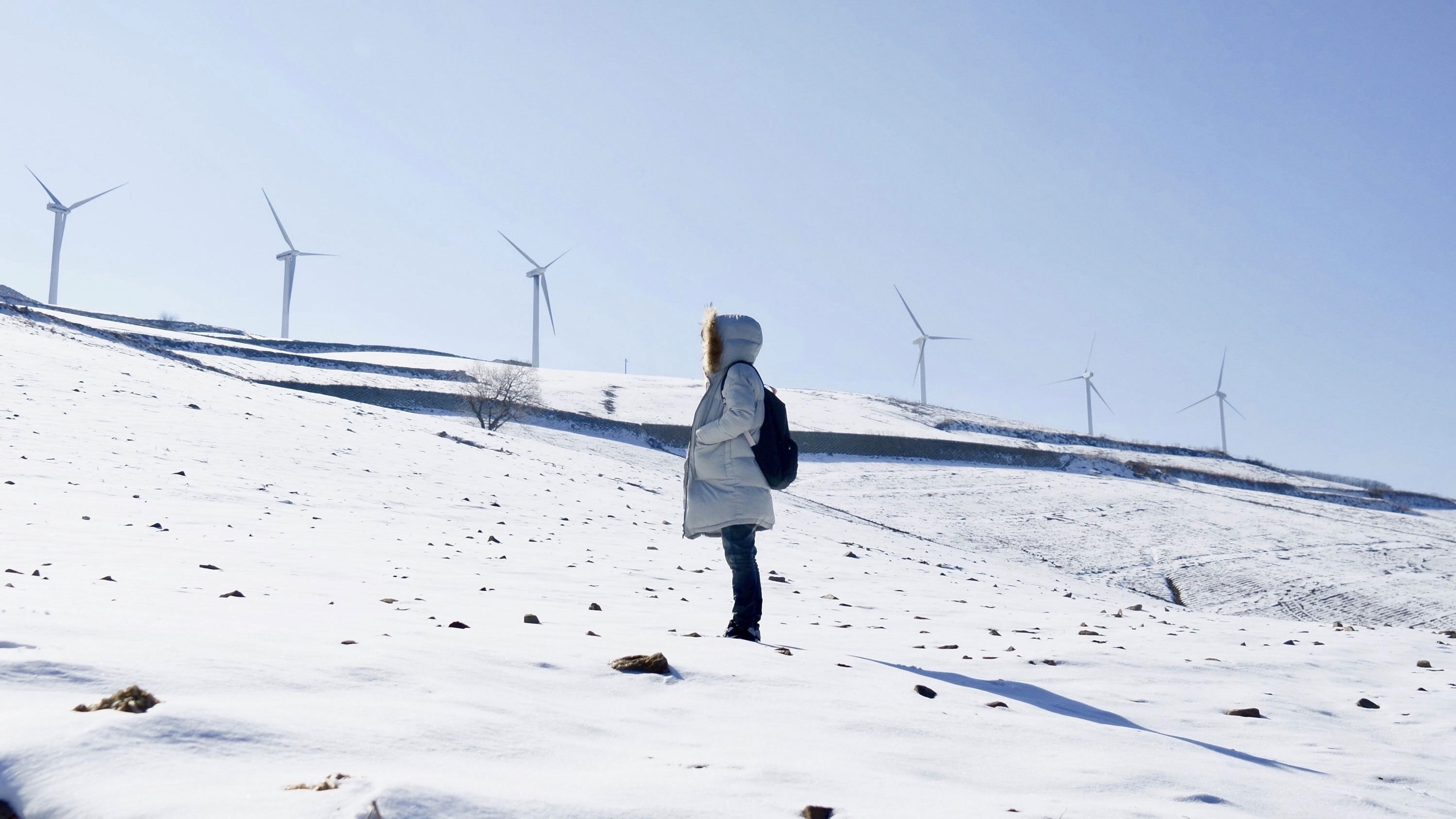 The Hill of Wind Background