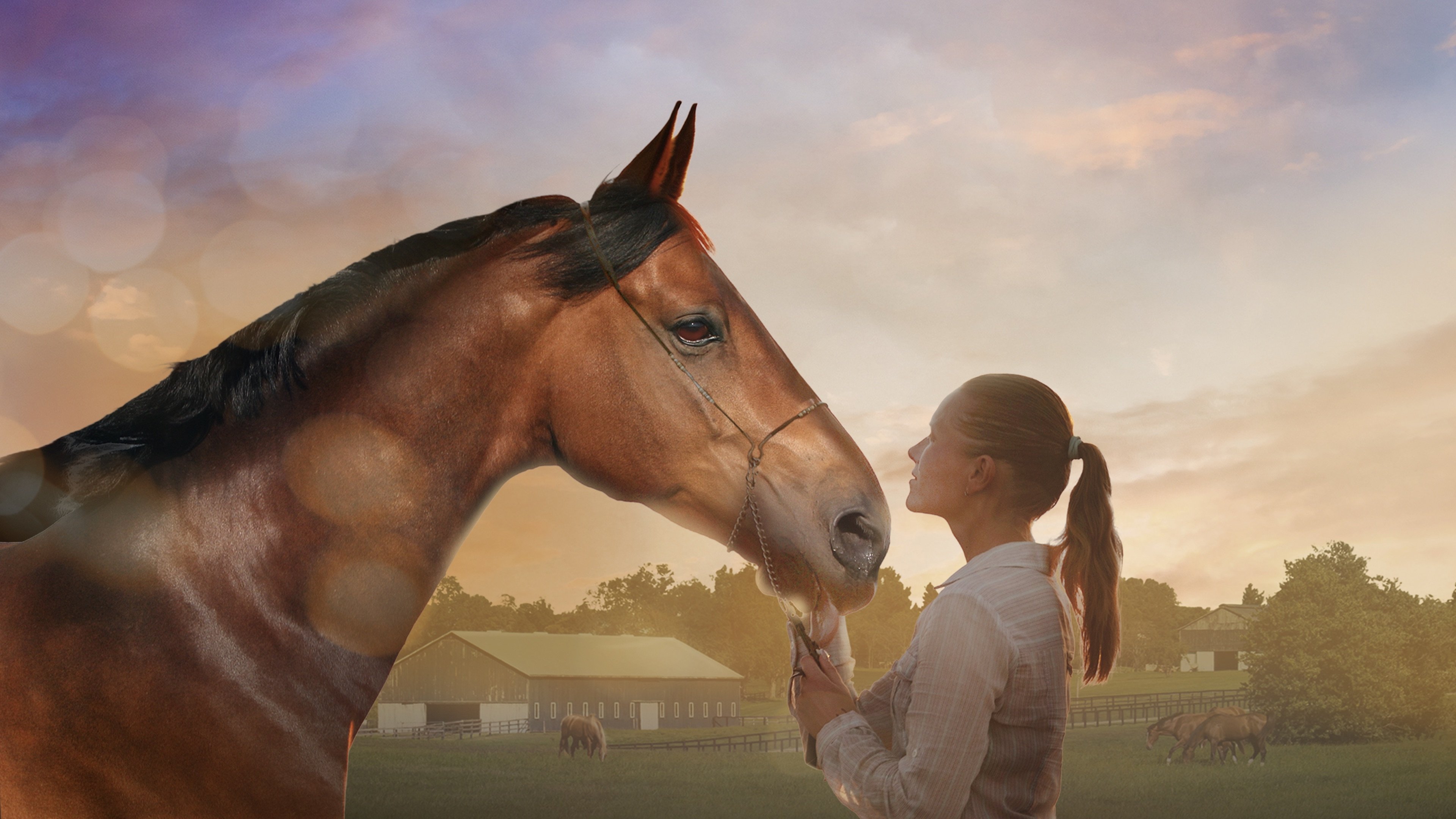 A Horse Tale Background