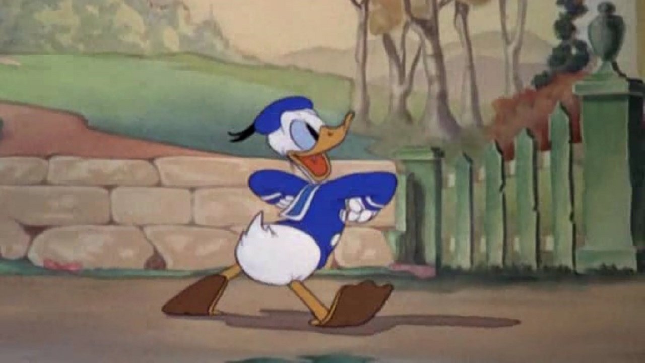 The Volunteer Worker Background