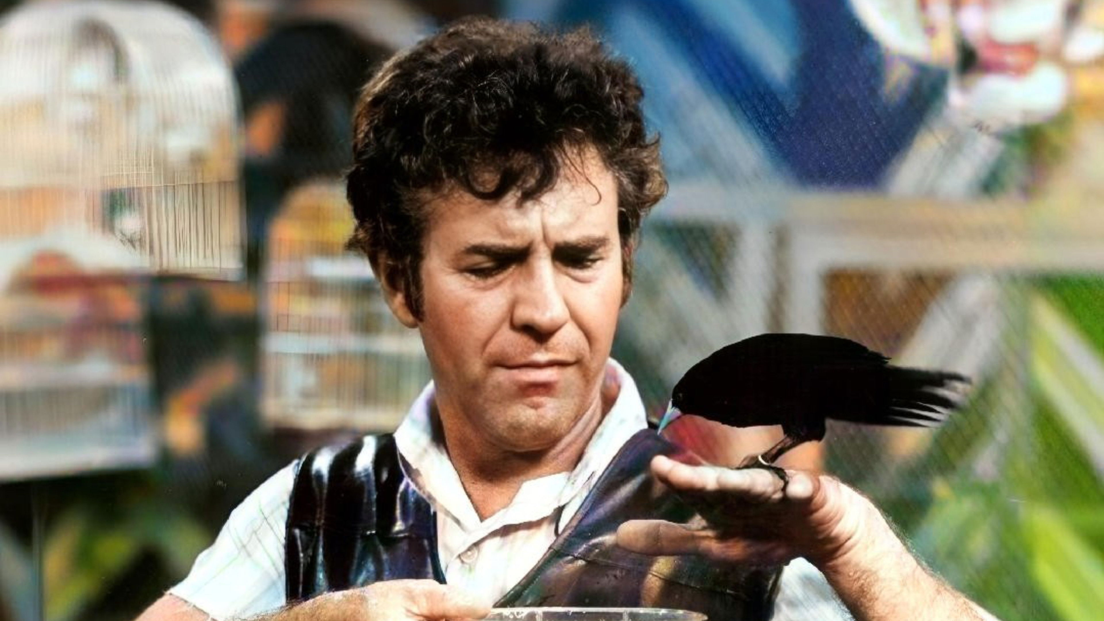 Saramandaia Background