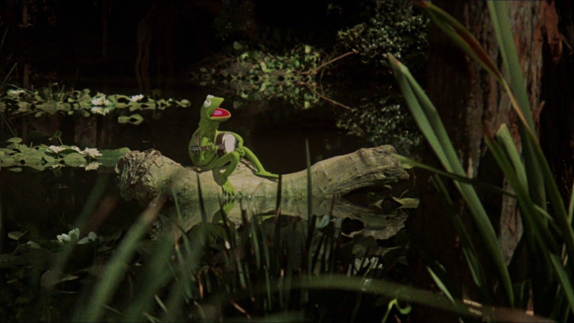 The Muppet Movie Background