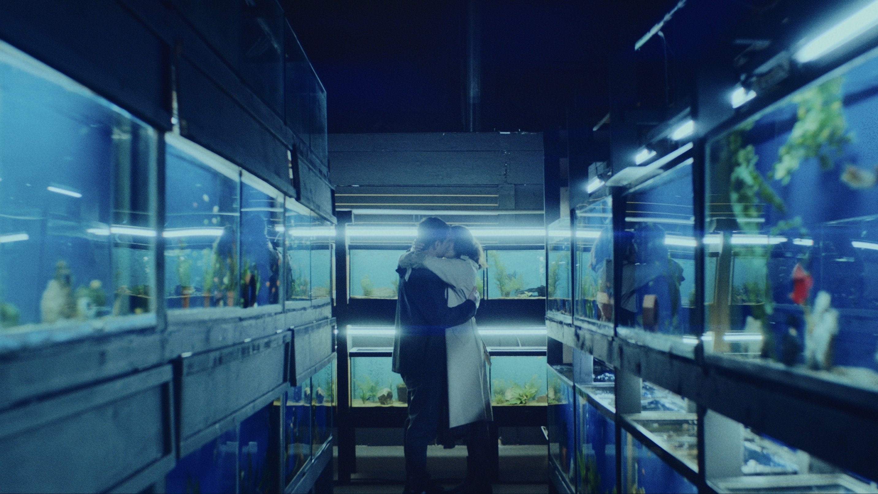 Little Fish Background