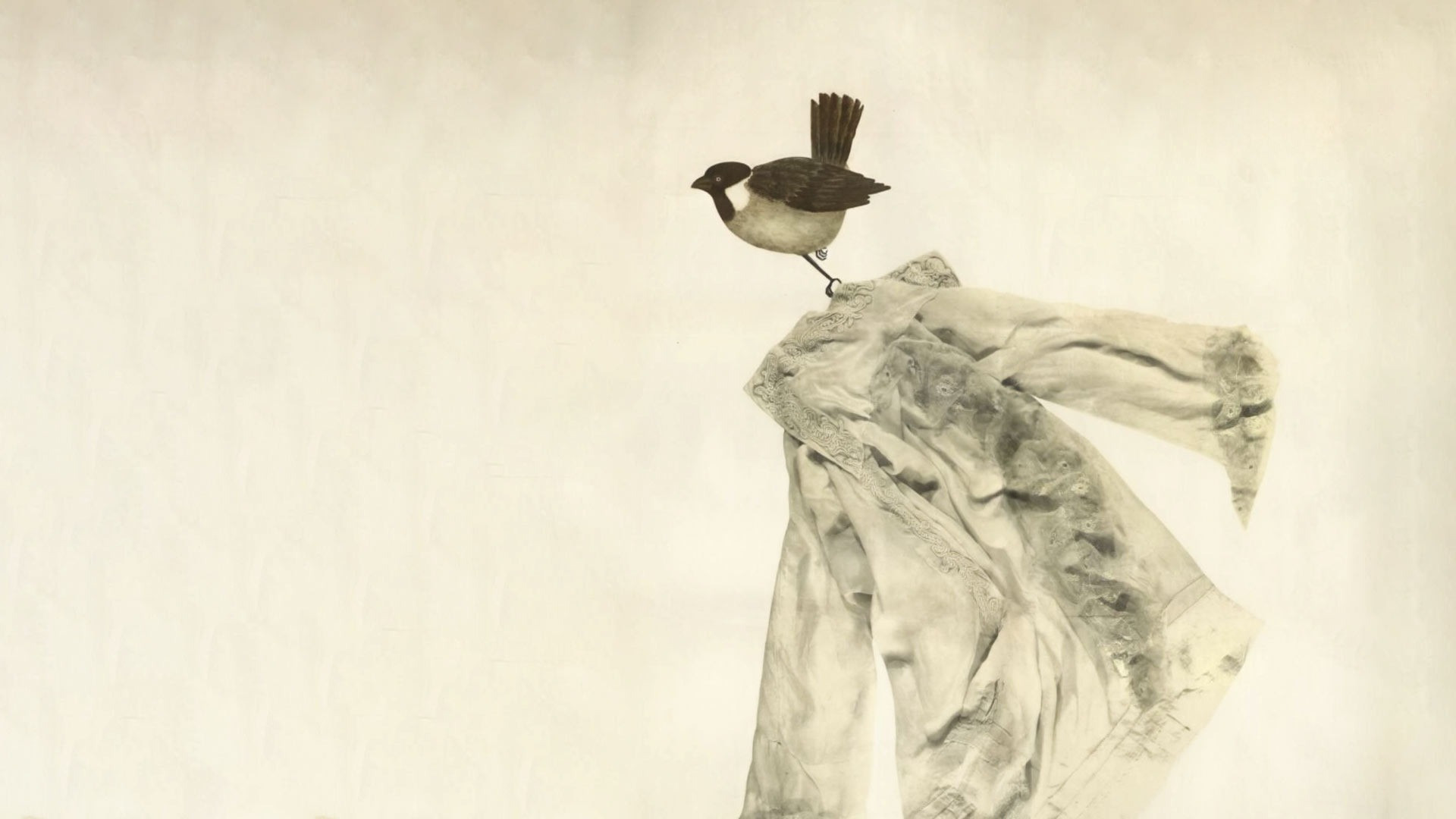 Migrating Sparrows Background