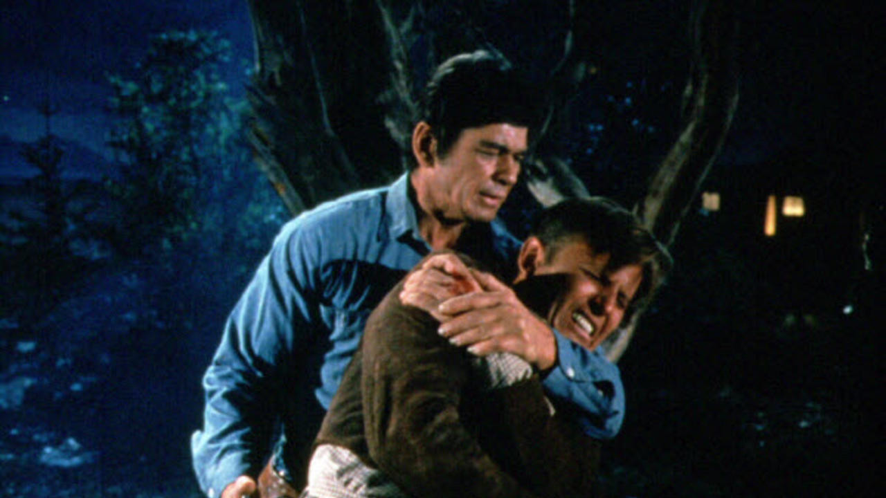 Guns of Diablo Background