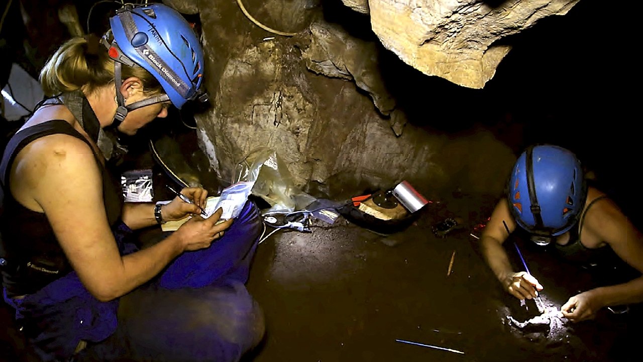 Dawn of Humanity Background