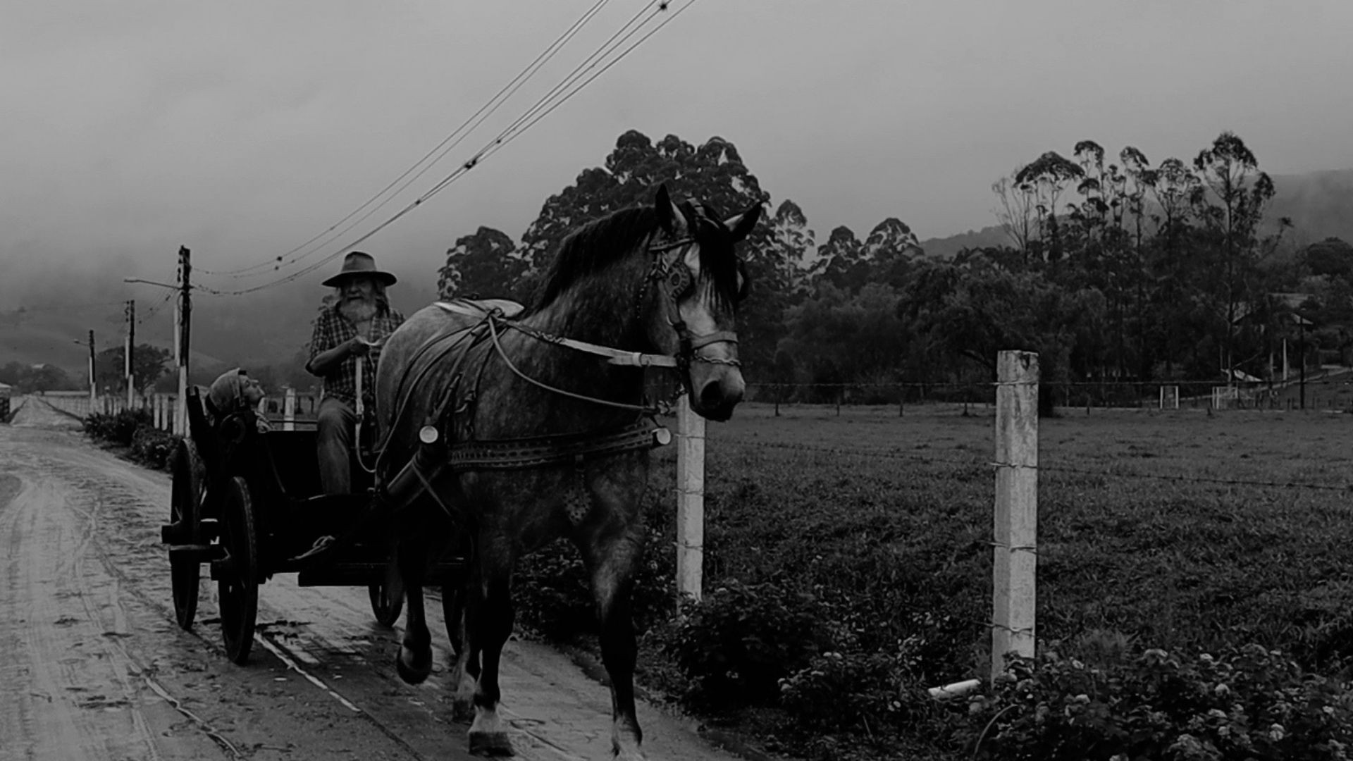 Affliction Background