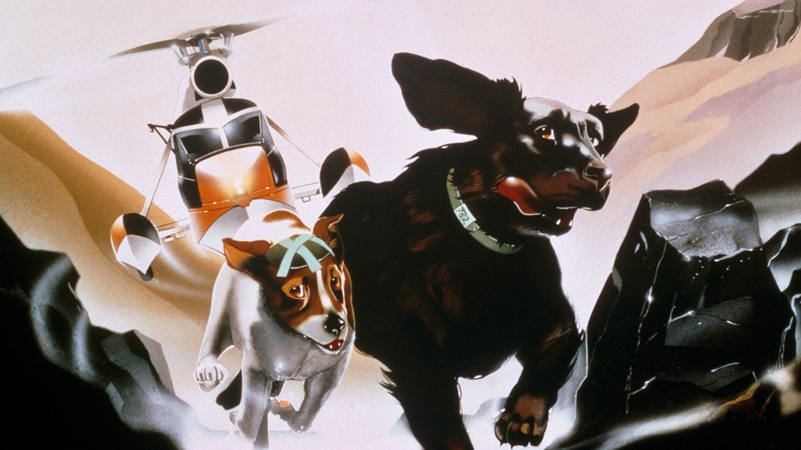 The Plague Dogs Background
