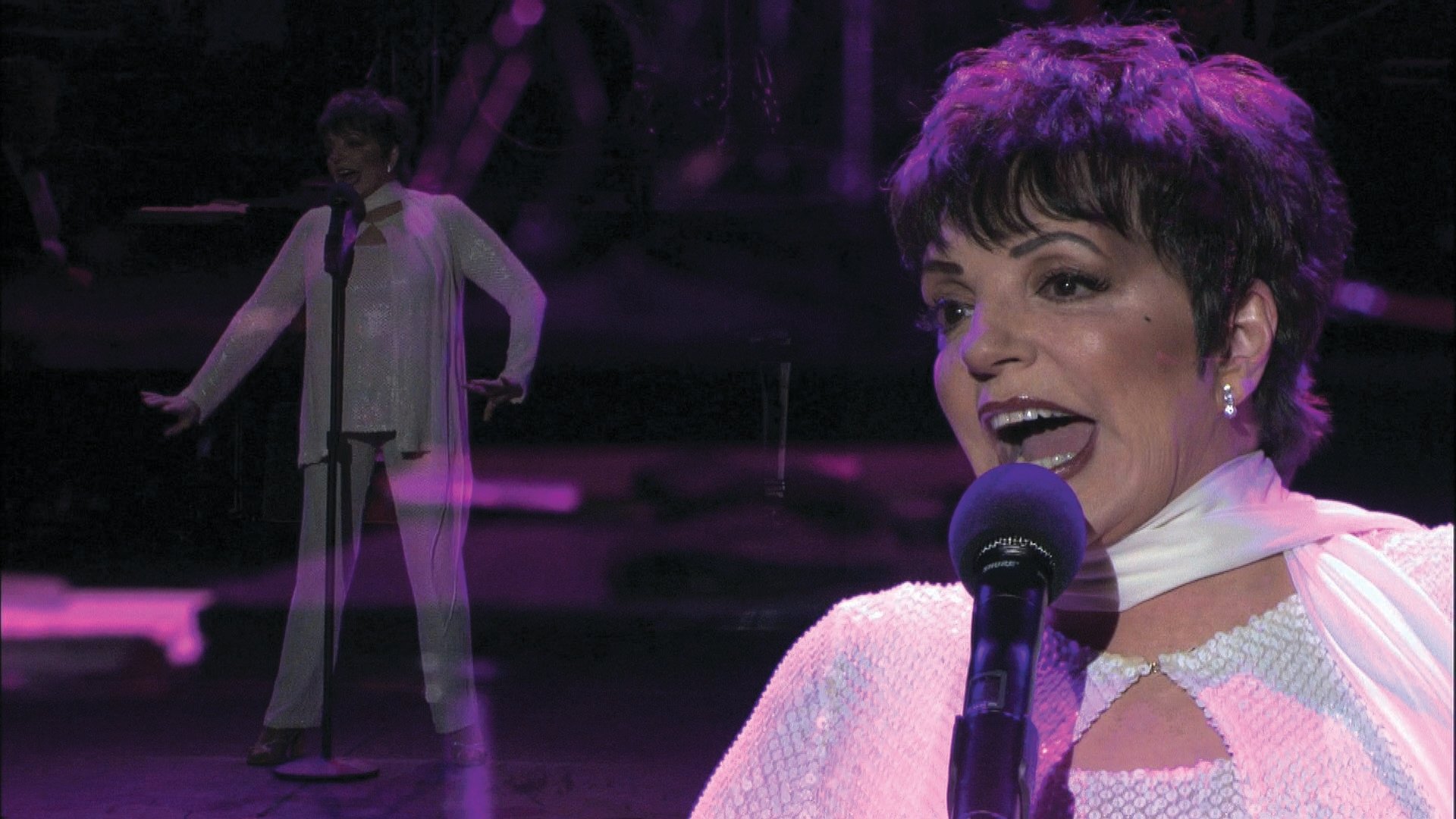 Liza Minnelli: Liza's at The Palace Background