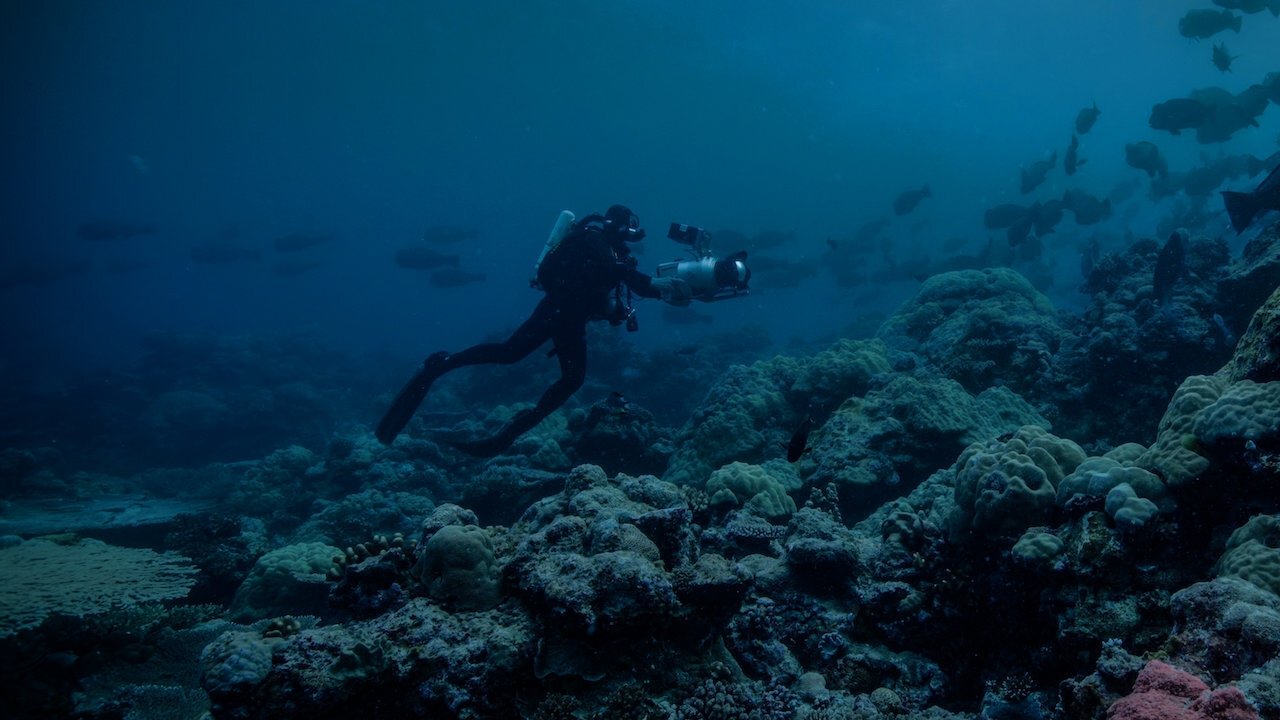 Night on Earth: Shot in the Dark Background