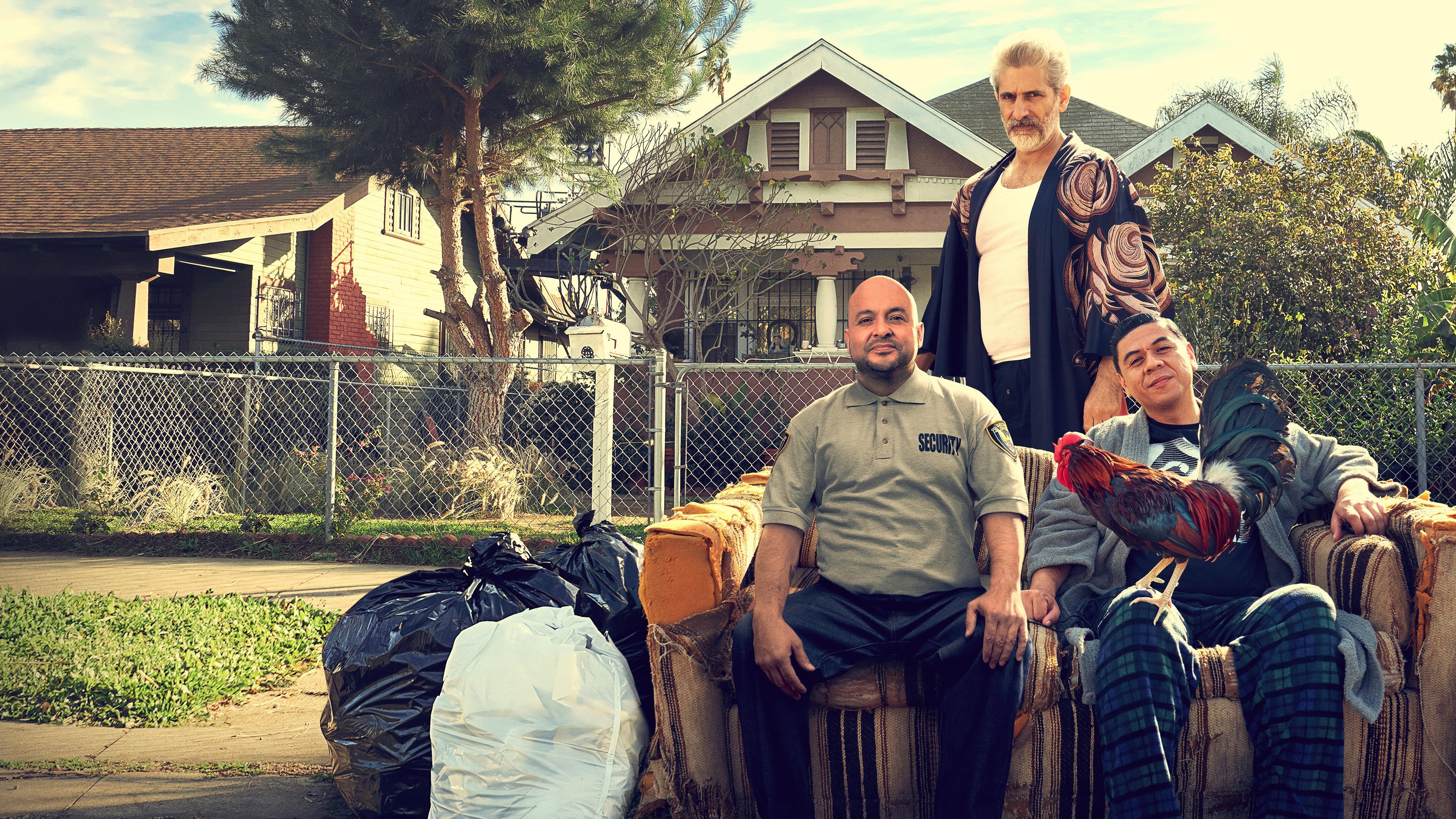 This Fool Background