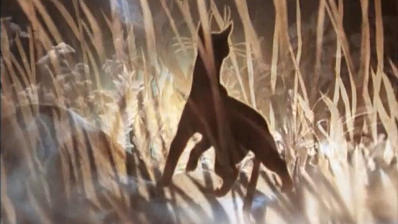 The Cat Who Walked by Herself Background