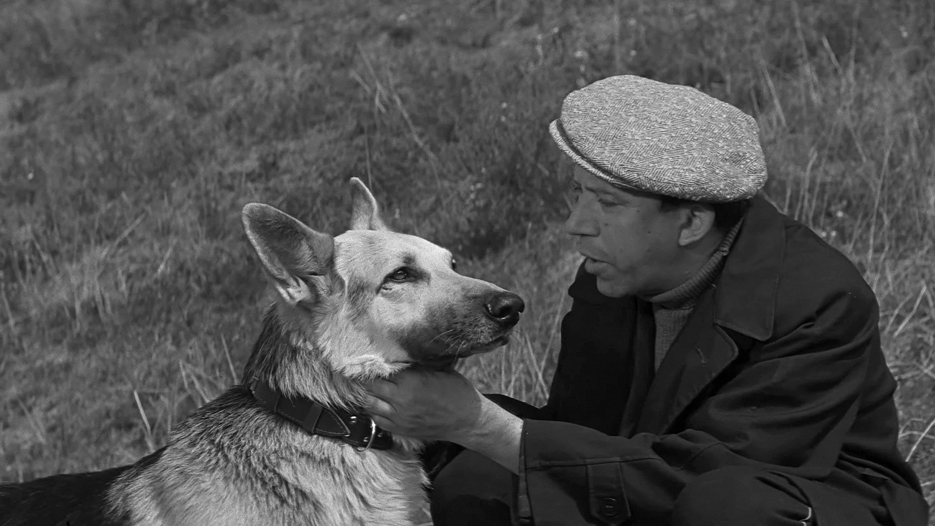 Come Here, Mukhtar! Background