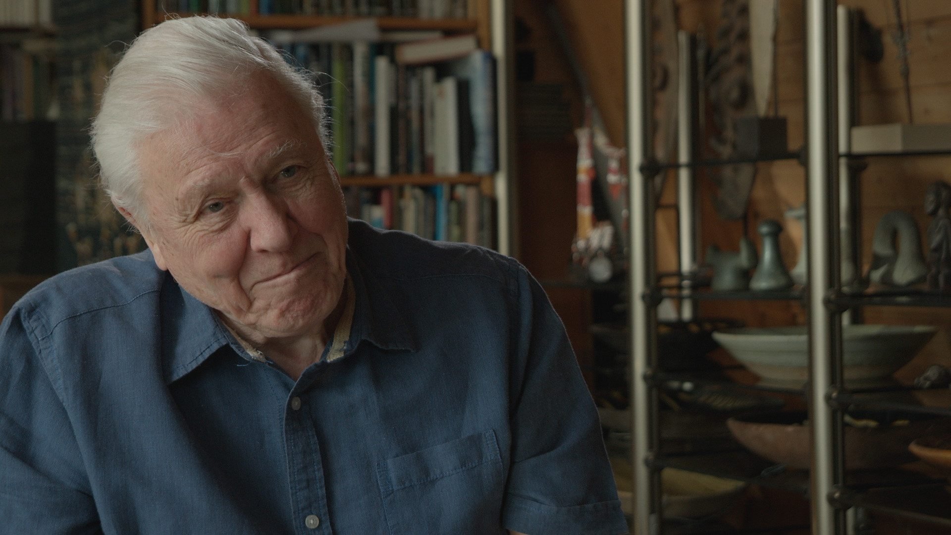 Zoo Quest in Colour Background