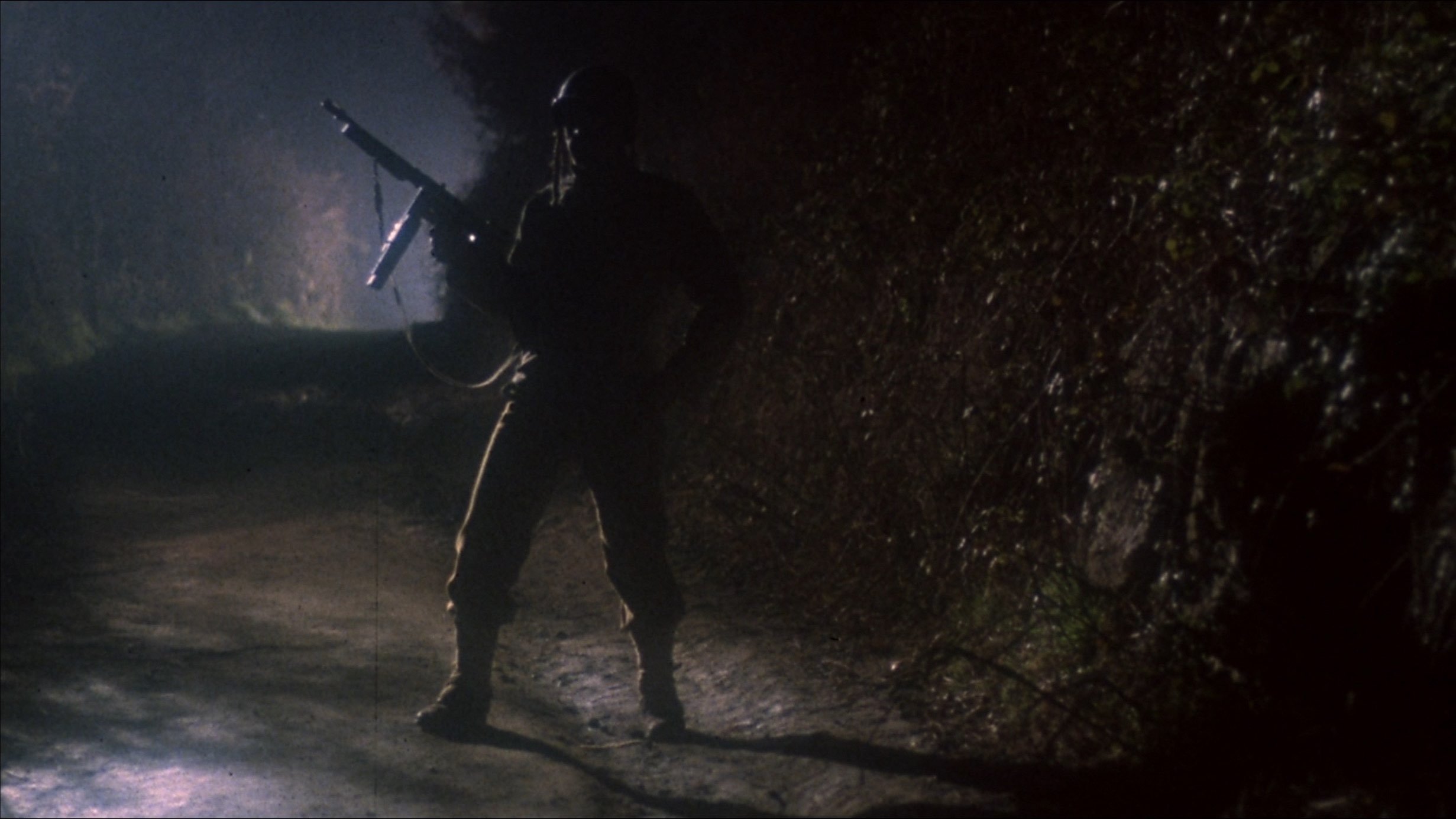 Zone Troopers Background