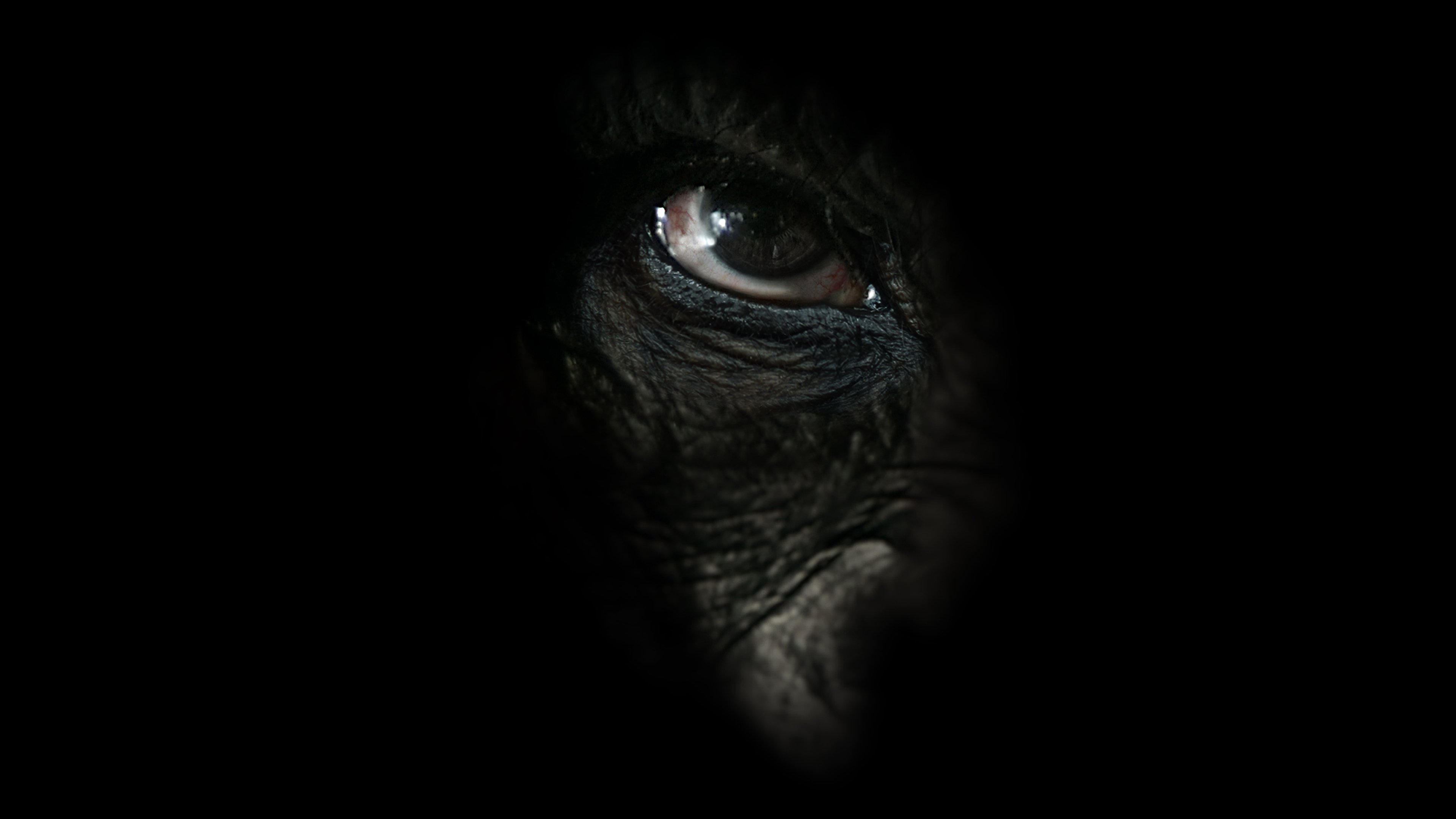 Rise of the Warrior Apes Background