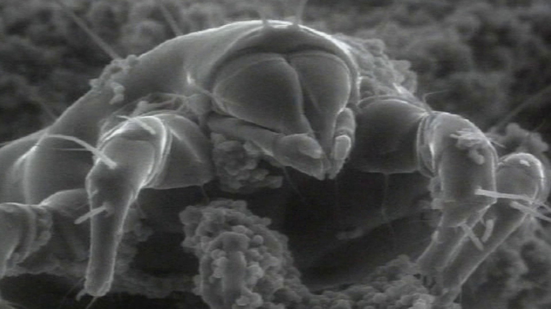 Grenzen der Wahrnehmung Background