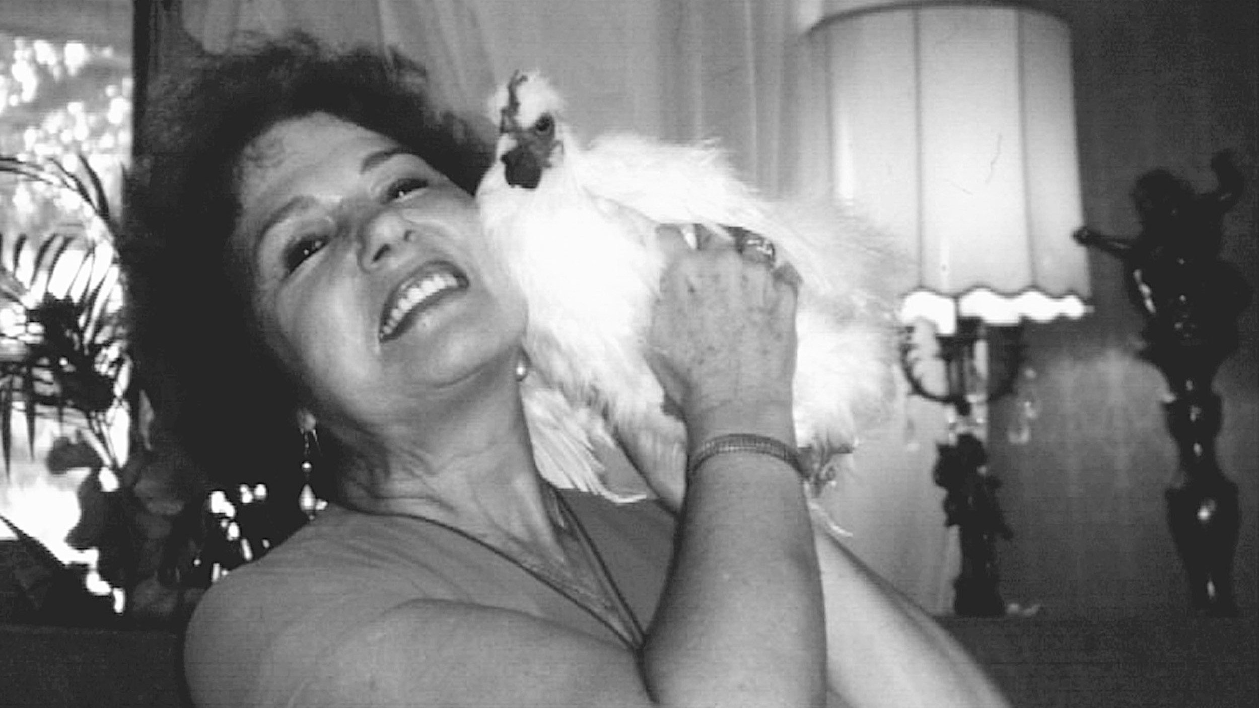 The Natural History of the Chicken Background