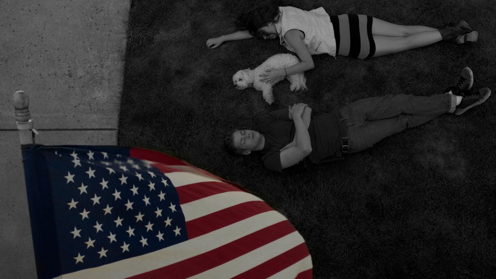 Deer in the Headlight Background