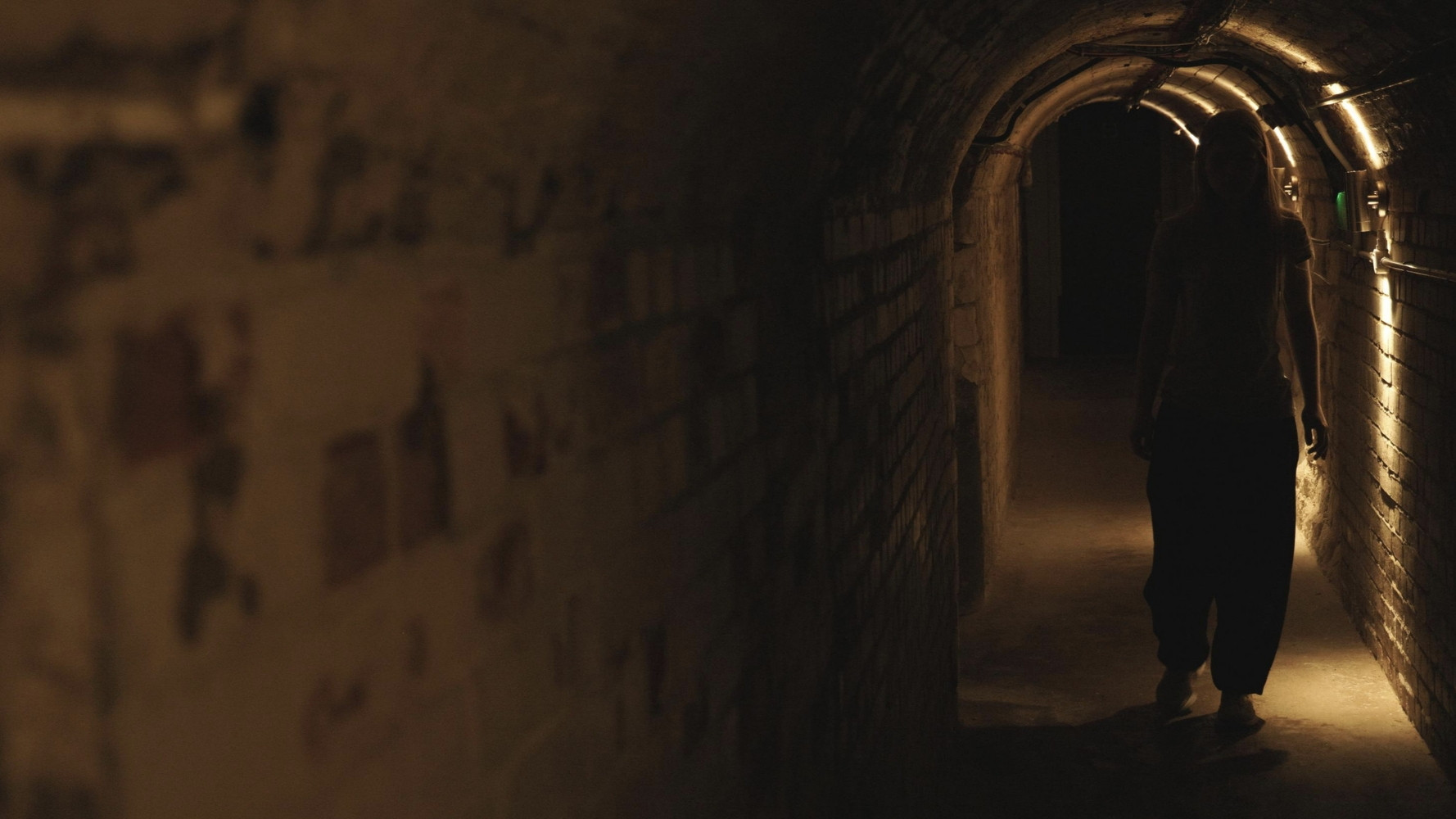 The Cellar Background