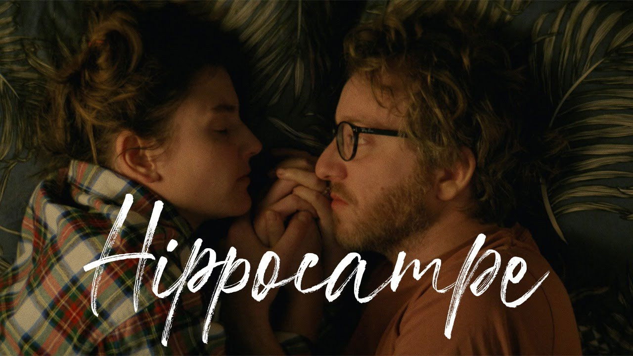 Hippocampe Background